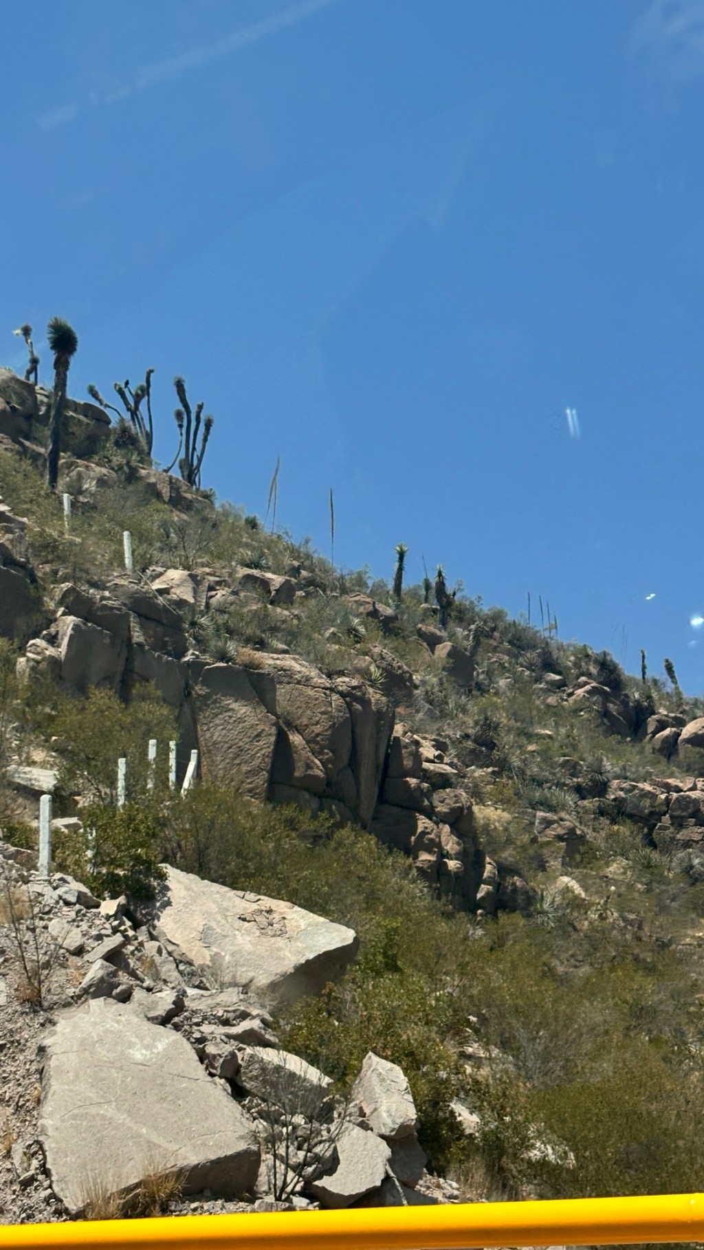 “Un ratito”: la medida más elástica del tiempo mexicano