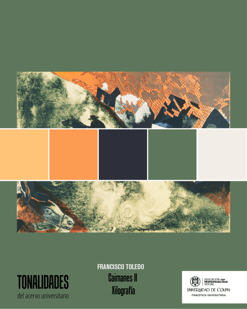 Obras de Francisco Toledo y Alfredo Zalce en formato de redes para fomentar el artful thinking.