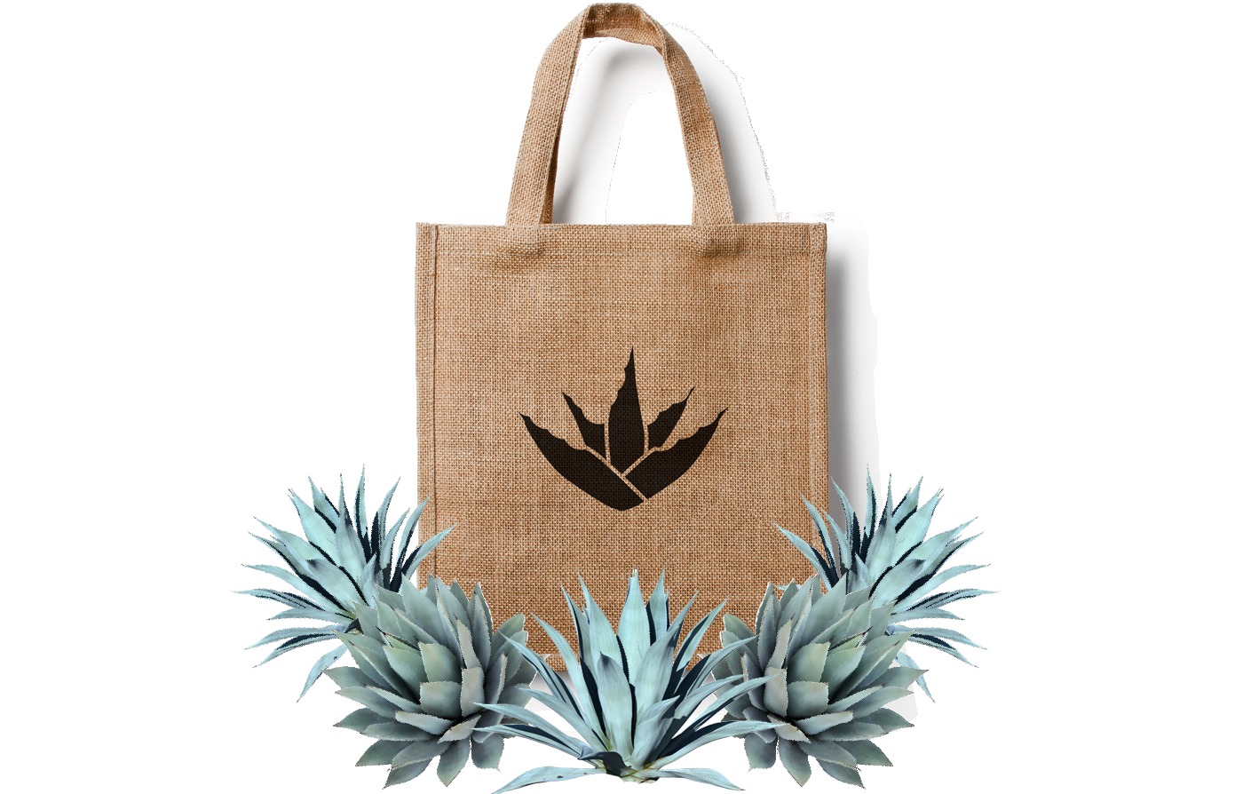 Bolsa de tela con el logotipo de maguey de la feria