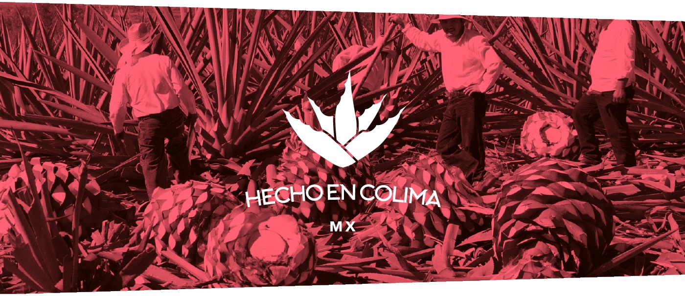 Ilustración de maguey y fotografía de campo de agaves con el logotipo
